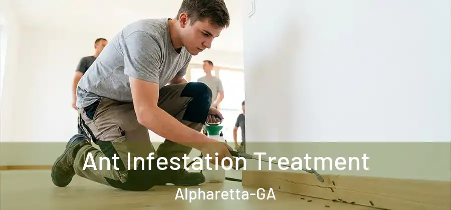 Ant Infestation Treatment Alpharetta-GA