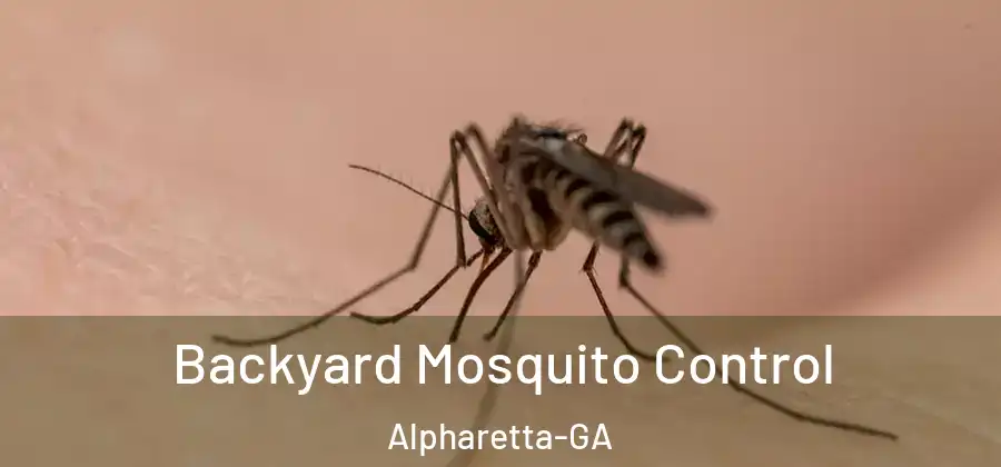 Backyard Mosquito Control Alpharetta-GA