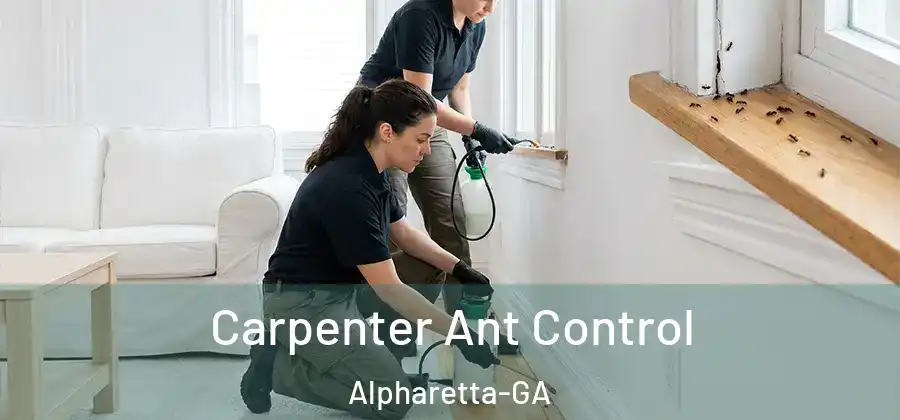 Carpenter Ant Control Alpharetta-GA