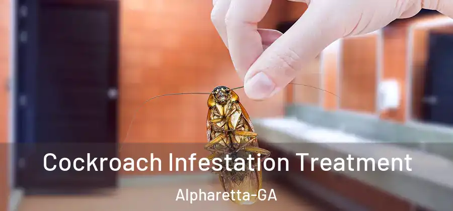 Cockroach Infestation Treatment Alpharetta-GA