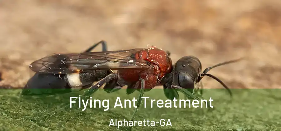 Flying Ant Treatment Alpharetta-GA