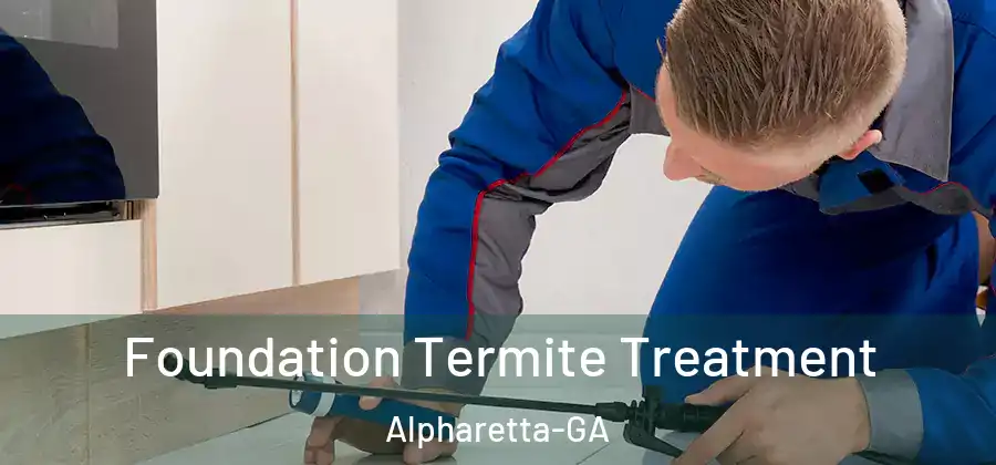 Foundation Termite Treatment Alpharetta-GA