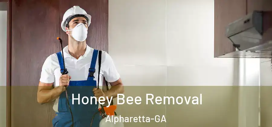 Honey Bee Removal Alpharetta-GA