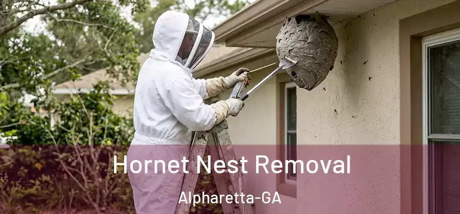 Hornet Nest Removal Alpharetta-GA