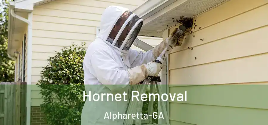 Hornet Removal Alpharetta-GA