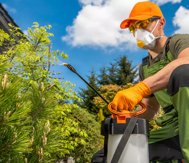 Your Mosquito Repellent Barrier Service in Alpharetta, GA