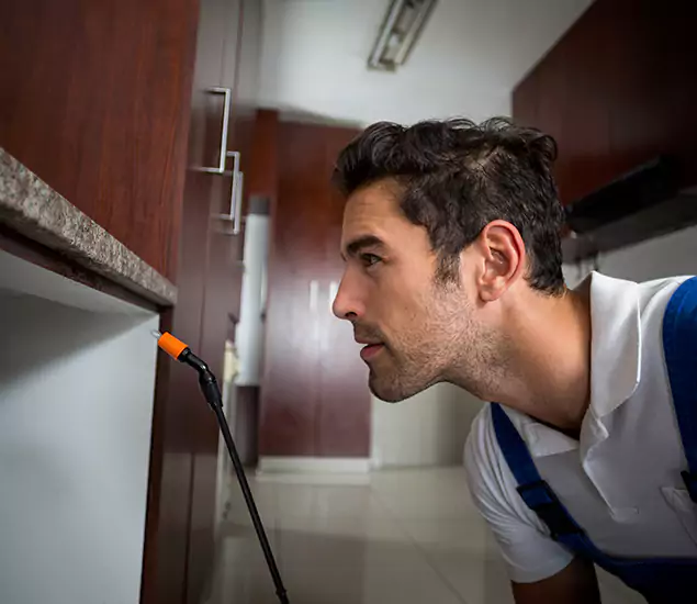 Termite Inspection Cost Experts You Can Trust in Alpharetta, GA