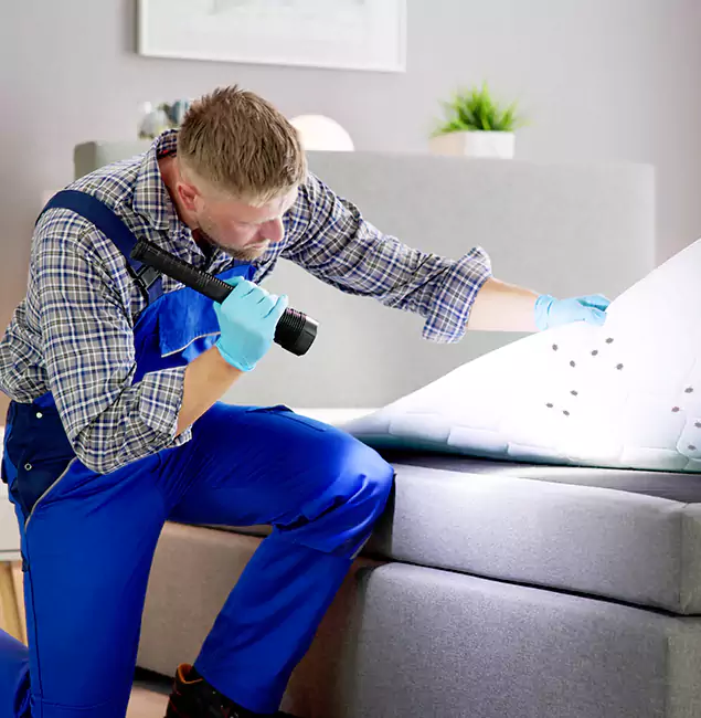 Why Choose Alpharetta Pest Control Pro for Bed Bug Exterminator Cost in Alpharetta, GA?