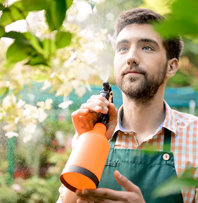 Why Alpharetta Pest Control Pro Is the Best Mosquito Control Company in Alpharetta, GA?