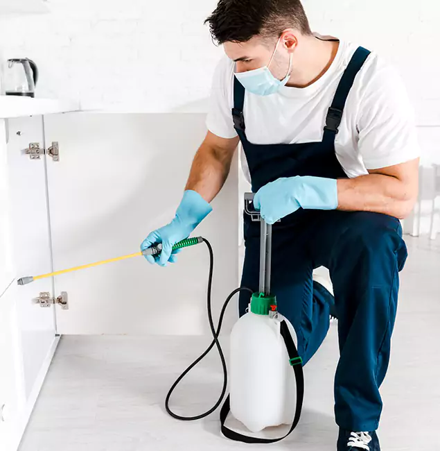 Why Choose Alpharetta Pest Control Pro for Termite Spot Treatment in Alpharetta, GA?
