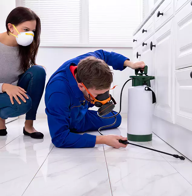 Why Choose Wood Termite Treatment by Alpharetta Pest Control Pro in Alpharetta, GA?
