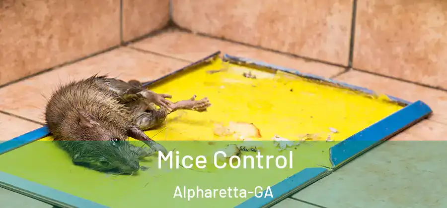 Mice Control Alpharetta-GA