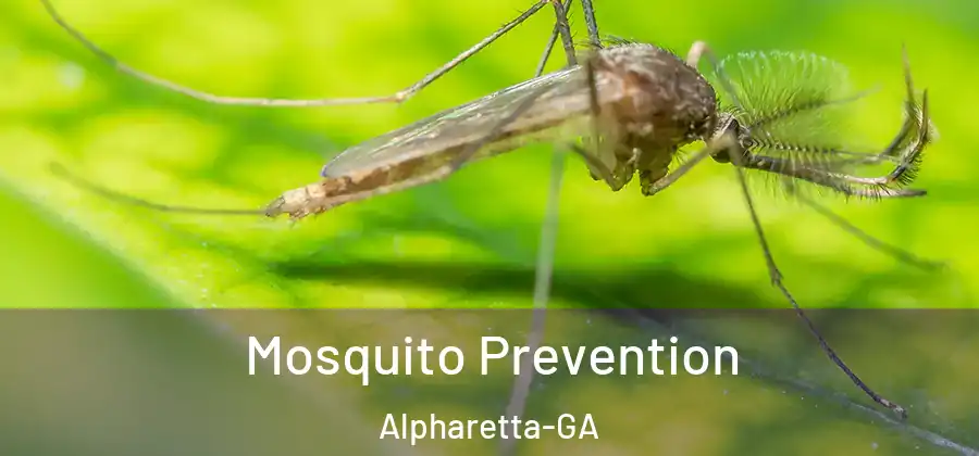 Mosquito Prevention Alpharetta-GA