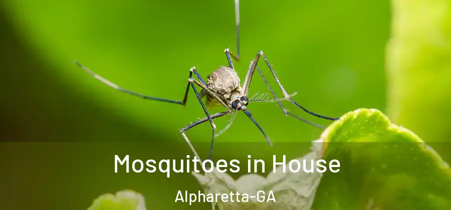 Mosquitoes in House Alpharetta-GA