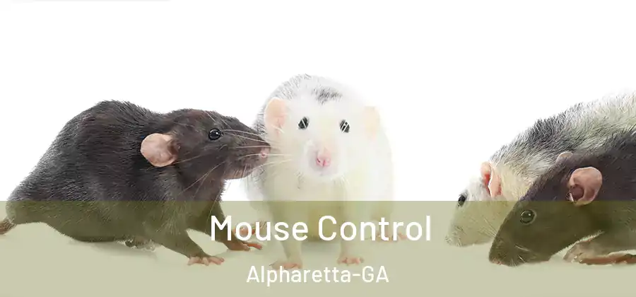 Mouse Control Alpharetta-GA