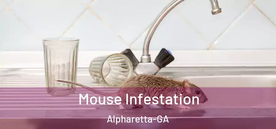 Mouse Infestation Alpharetta-GA