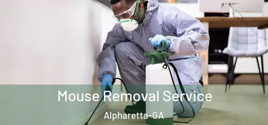 Mouse Removal Service Alpharetta-GA