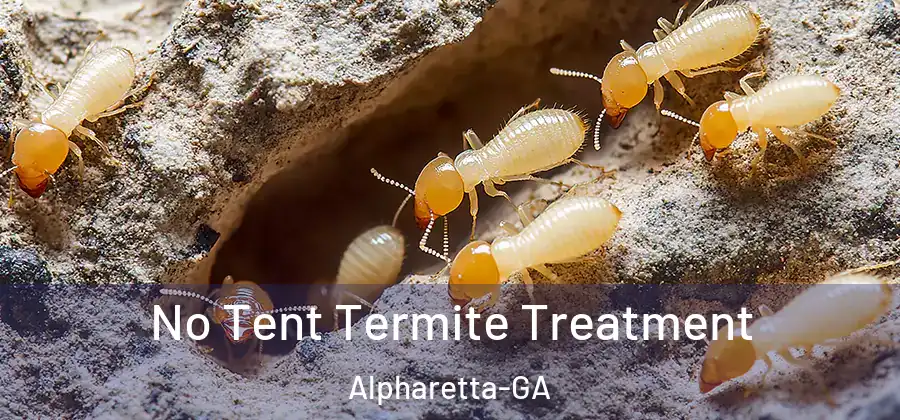 No Tent Termite Treatment Alpharetta-GA