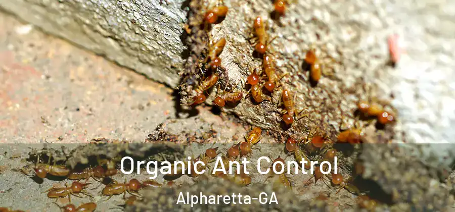 Organic Ant Control Alpharetta-GA