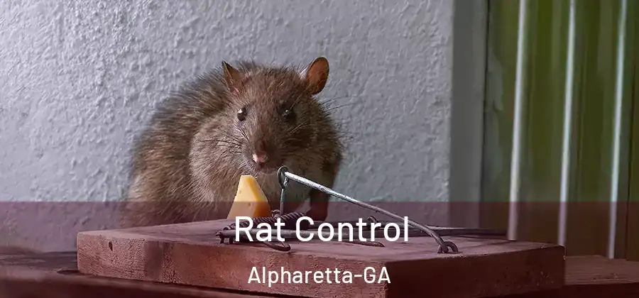 Rat Control Alpharetta-GA