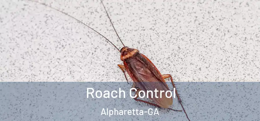 Roach Control Alpharetta-GA