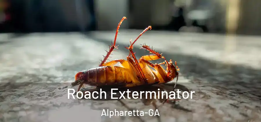 Roach Exterminator Alpharetta-GA
