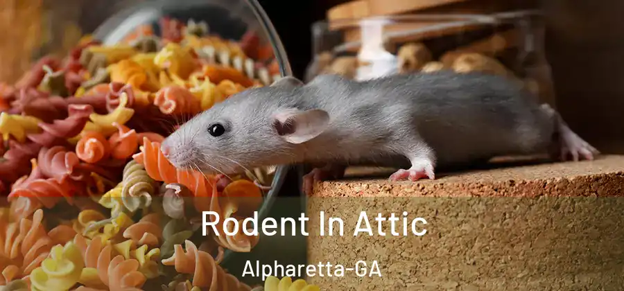 Rodent In Attic Alpharetta-GA