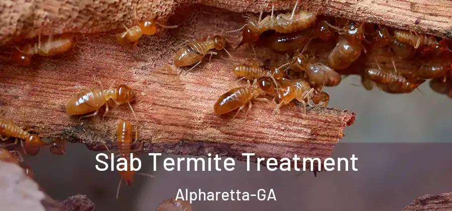 Slab Termite Treatment Alpharetta-GA