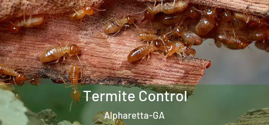 Termite Control Alpharetta-GA
