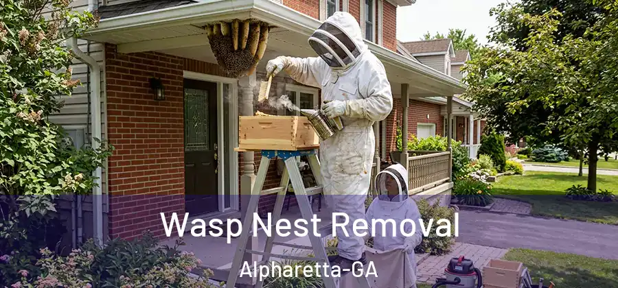 Wasp Nest Removal Alpharetta-GA