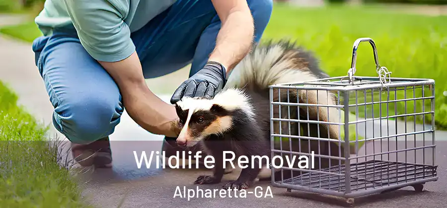 Wildlife Removal Alpharetta-GA