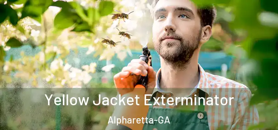 Yellow Jacket Exterminator Alpharetta-GA
